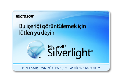 Silverlight Logo